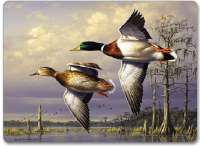 Corkback Hardboard Lodge Cabin Duck Coasters Water Birds